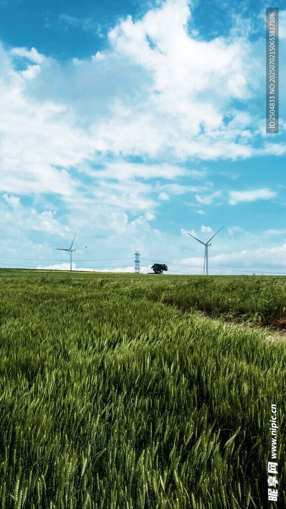 草原风光与远处风车