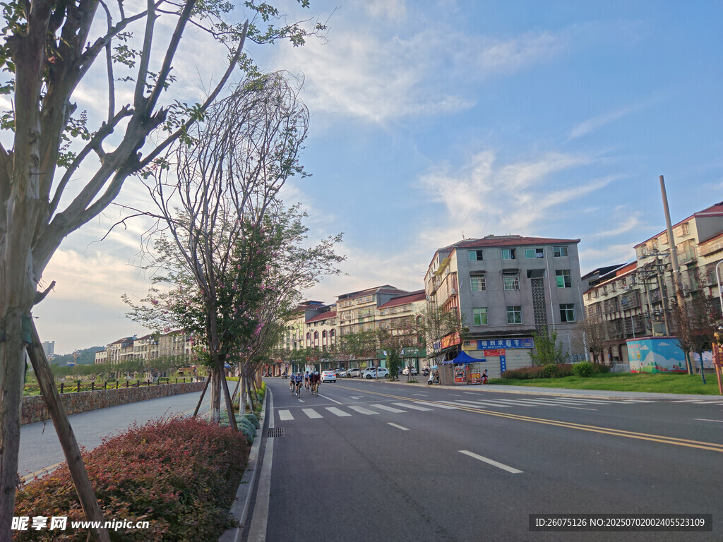 城市街道旁的宁静风景