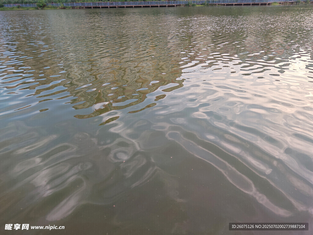水面波纹中的建筑倒影