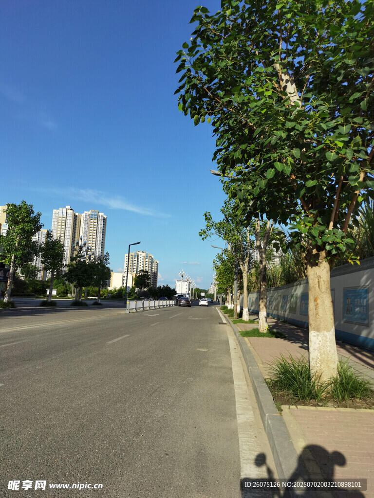 城市街道绿树蓝天景象
