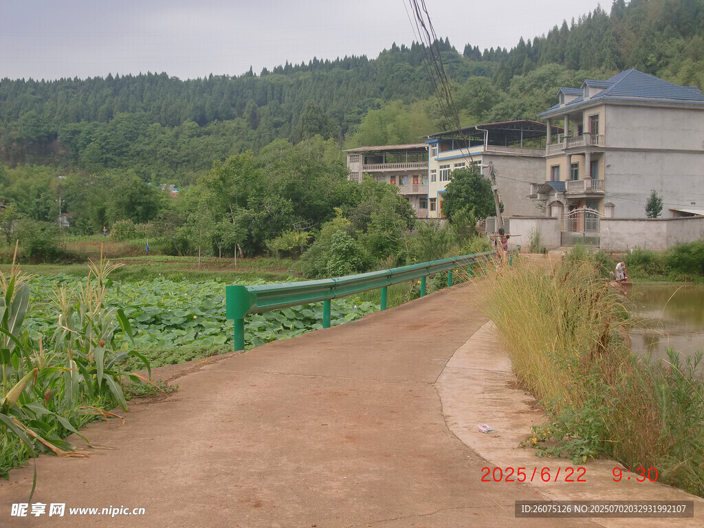 乡村小径旁的田园与建筑