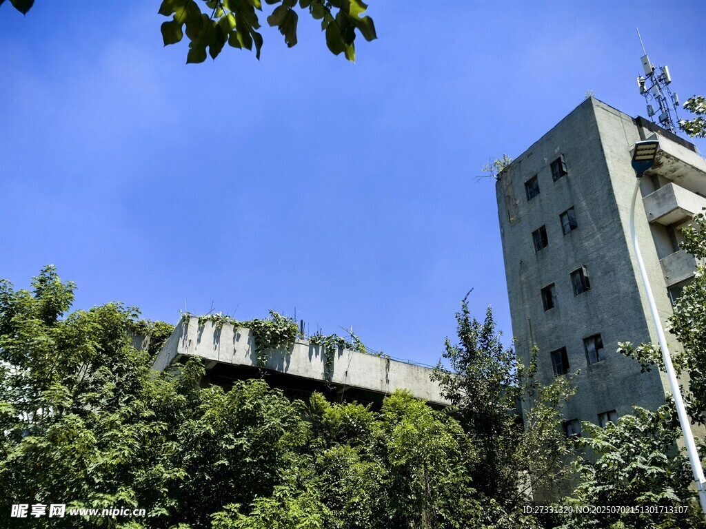 废弃高楼被绿植环绕