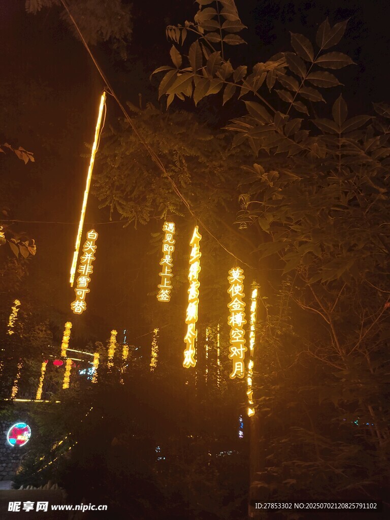 夜晚街道的绚丽灯光景观