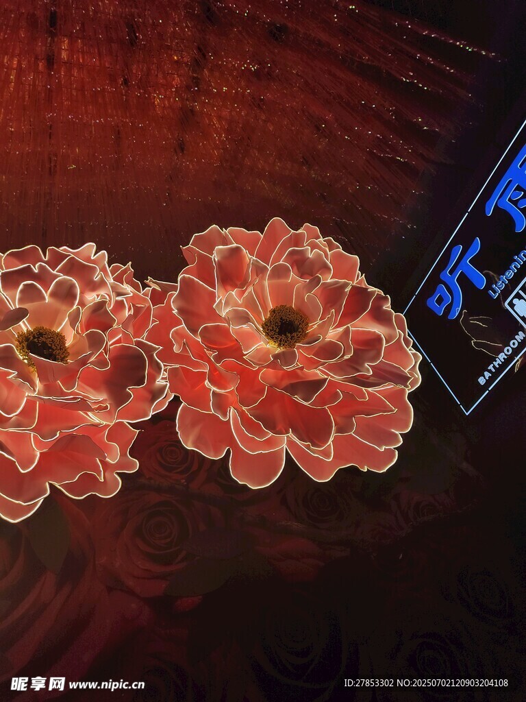 娇艳绽放的两朵红色花朵
