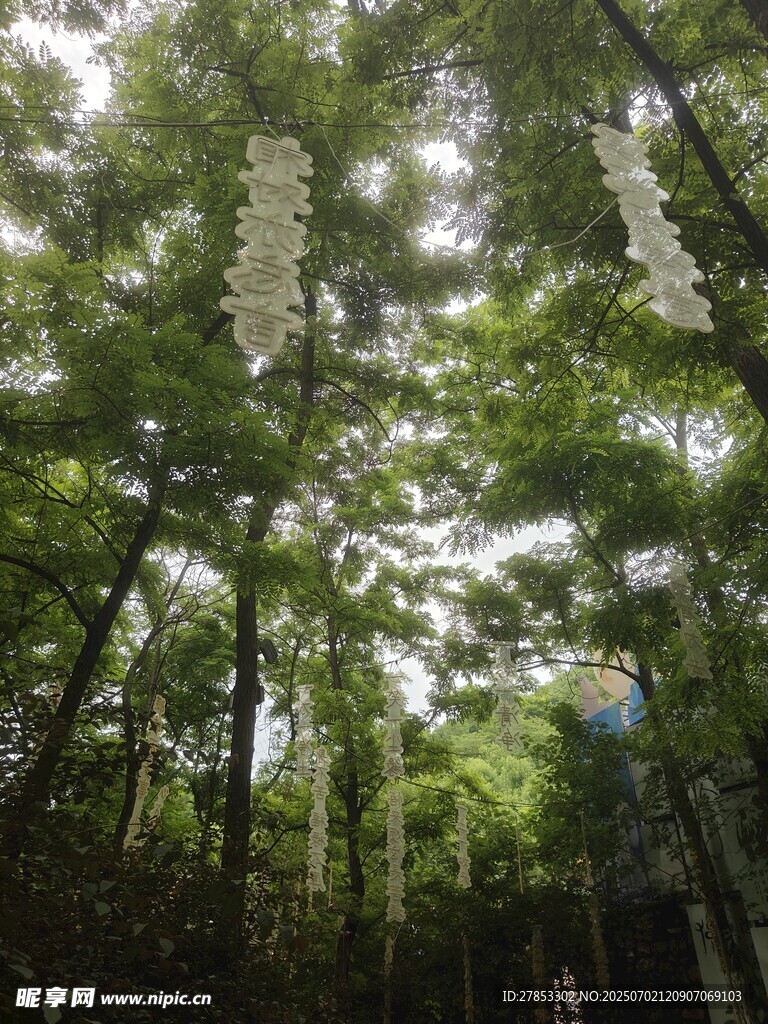 林间悬挂的白色风铃