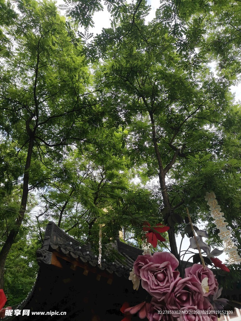 绿荫下的多彩景致