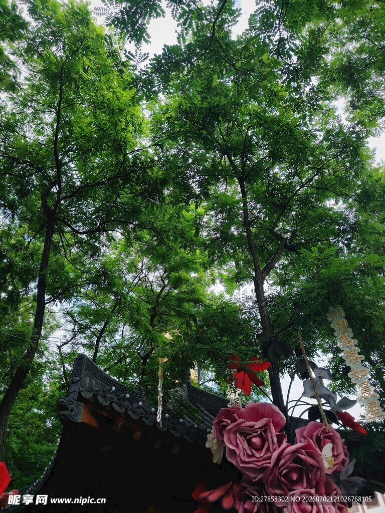 绿荫下的多彩花卉景观