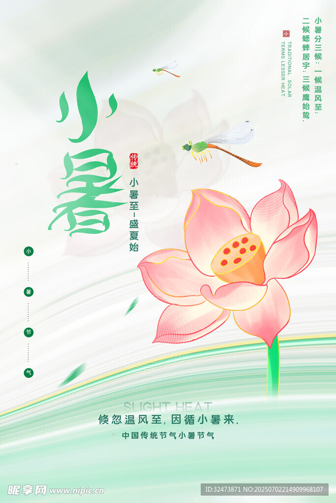 小暑时节荷花