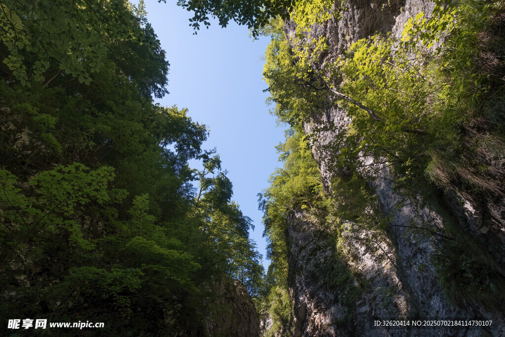 峡谷间葱郁山林景观