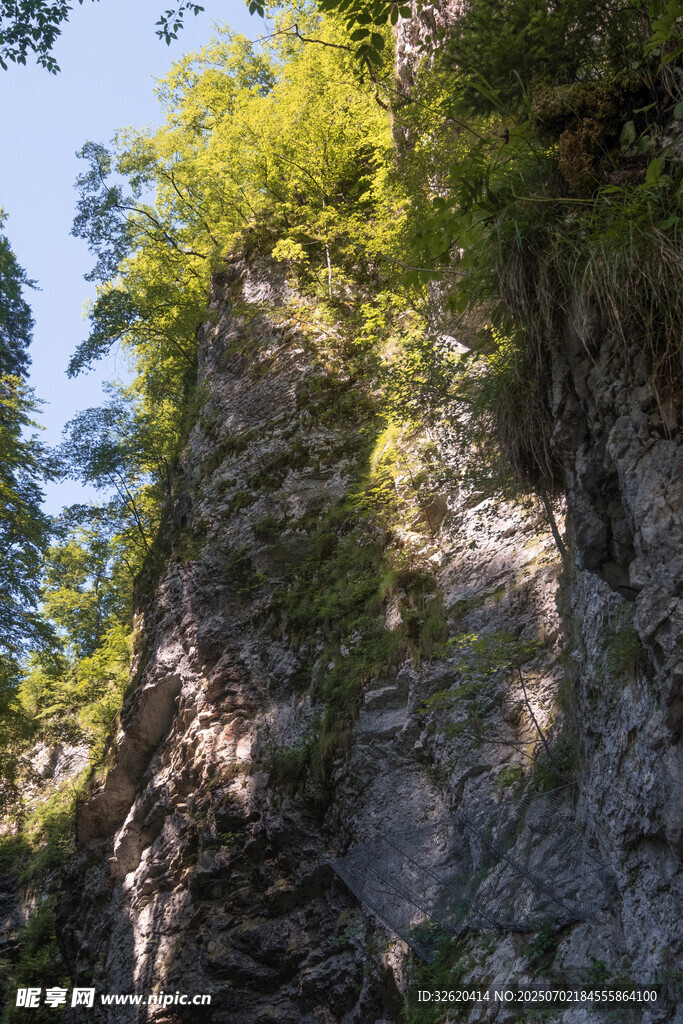 陡峭山壁上的葱郁植被