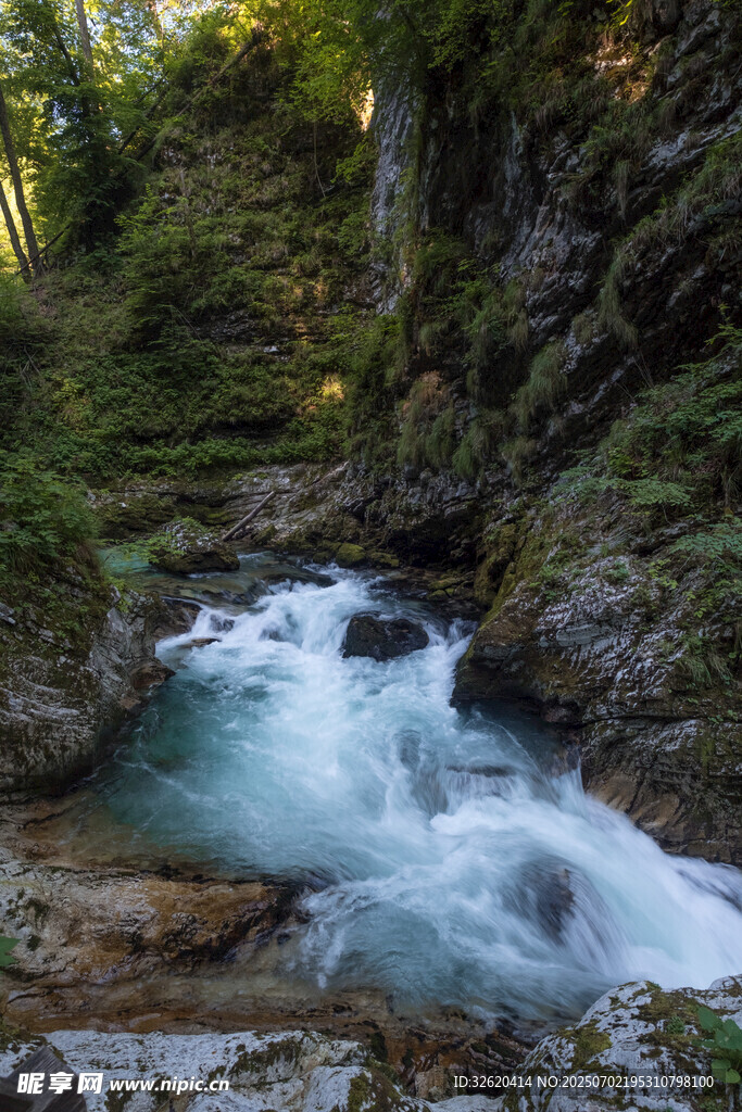 山间溪流潺潺 自然美景