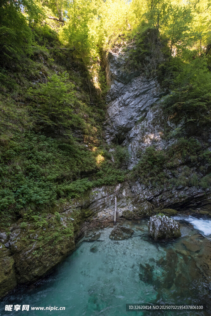 山间幽潭 绿意环绕的美景