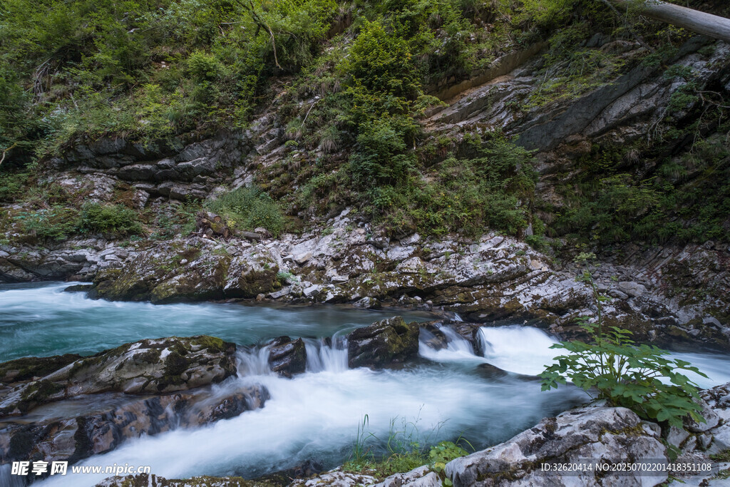 山间溪流潺潺美景