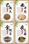 简约中药药品4件套展板
