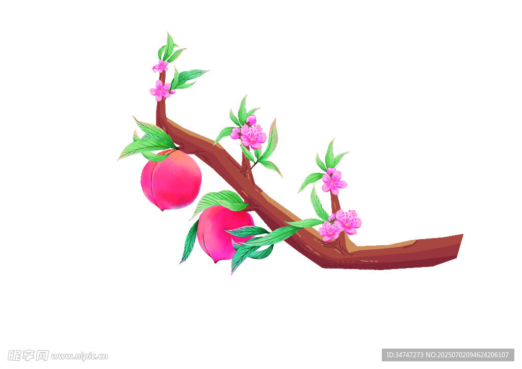 枝头粉嫩桃子插画