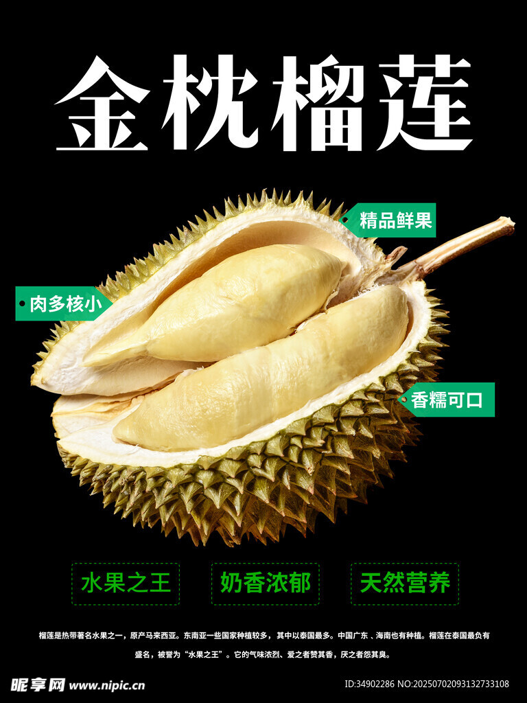 榴莲海报