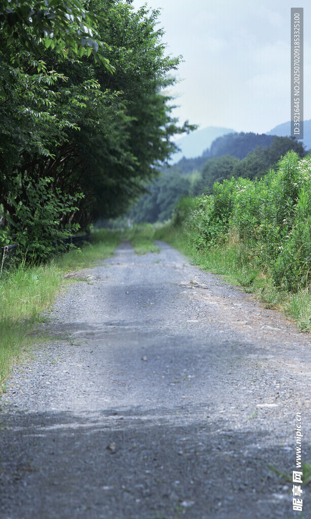 乡间碎石路