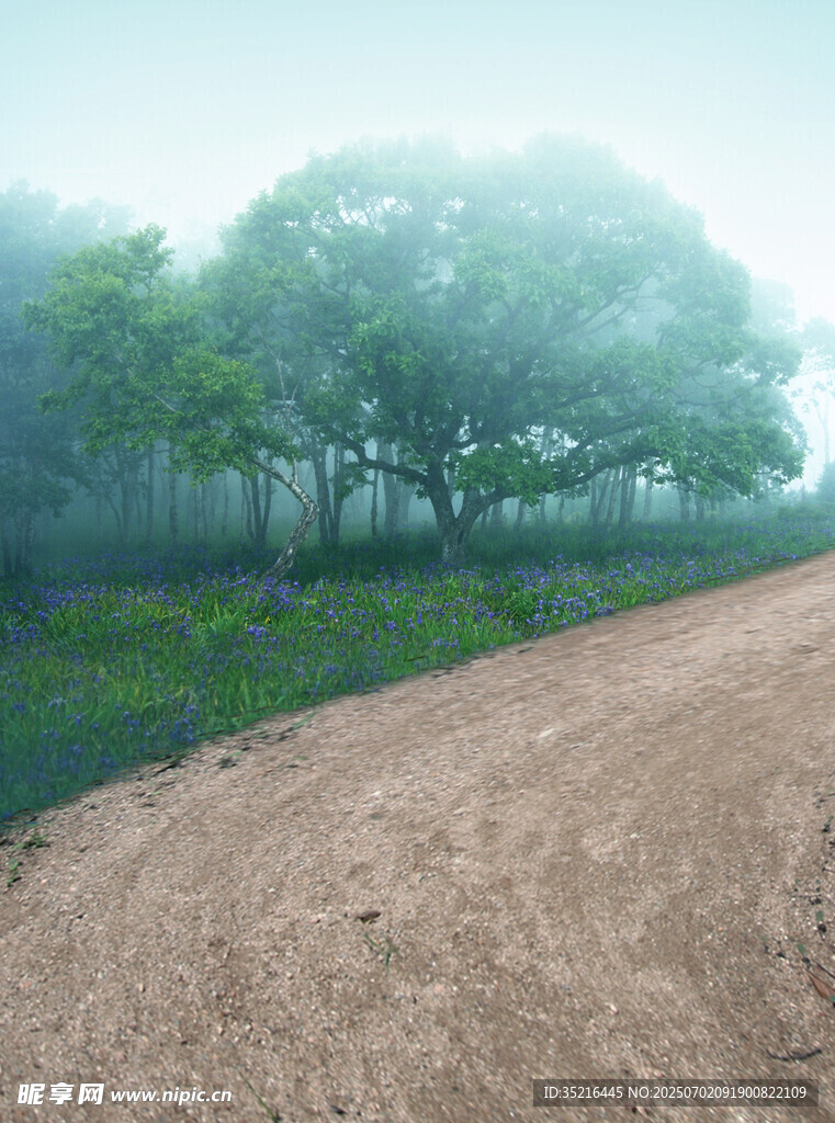 林间土路