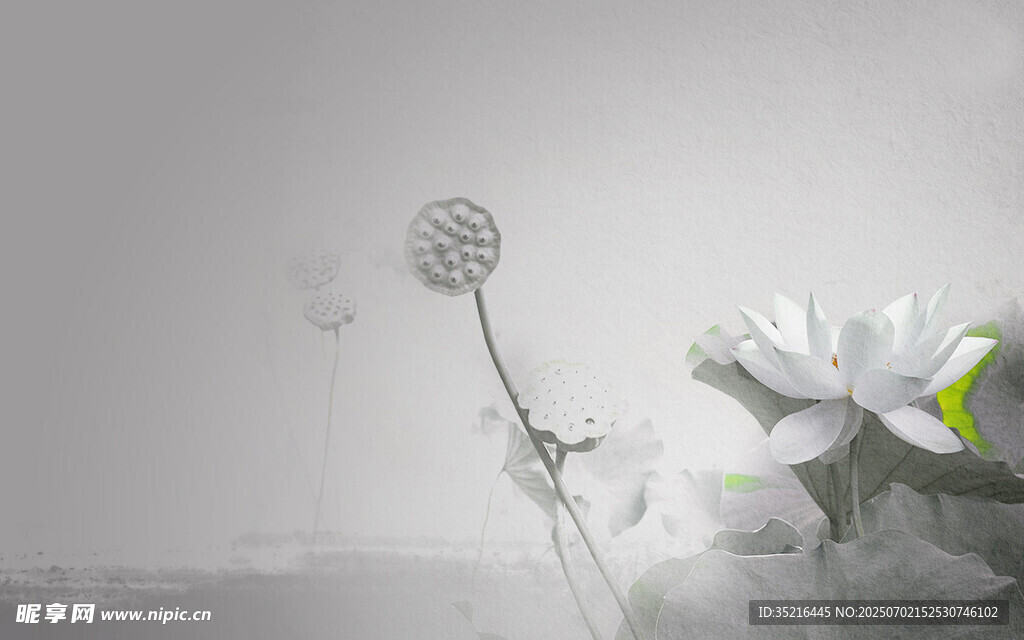 素雅花卉