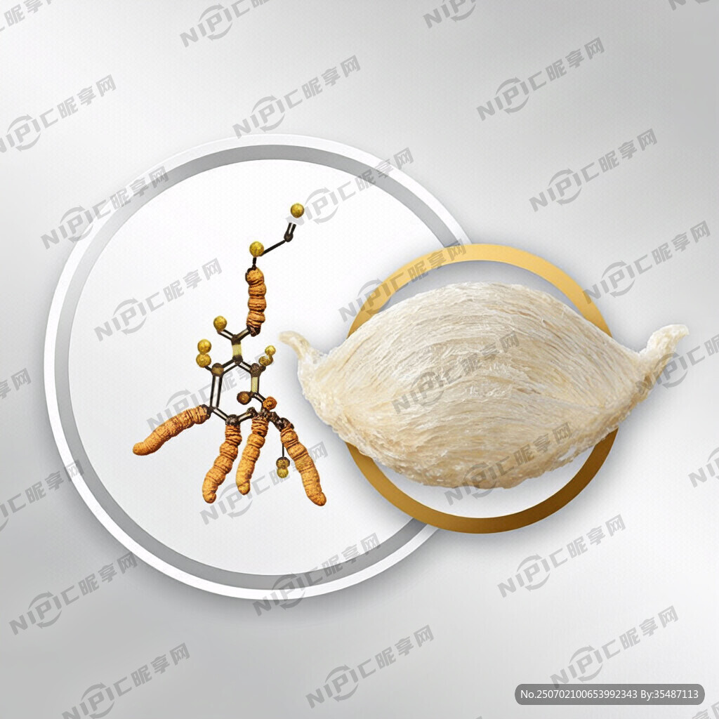 一个白色为底色的圆圈里