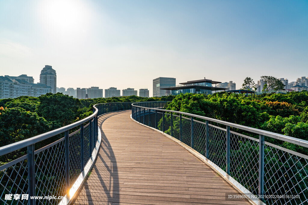深圳香蜜公园道路