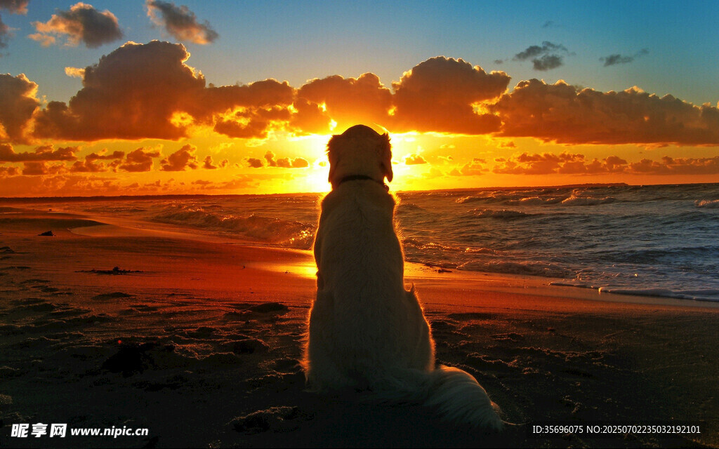 夕阳下海边的孤独身影