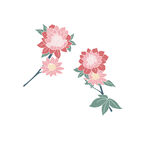 花朵