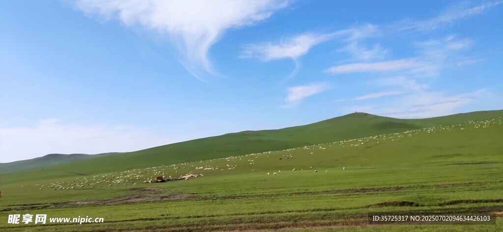 广袤草原蓝天美景
