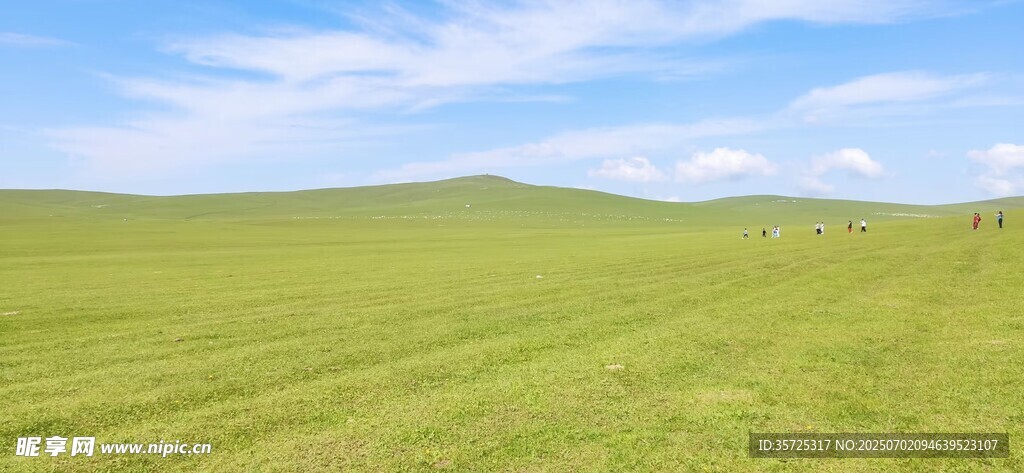 广袤草原风光