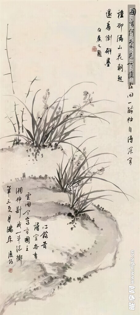 水墨兰花图