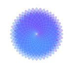 螺旋花纹