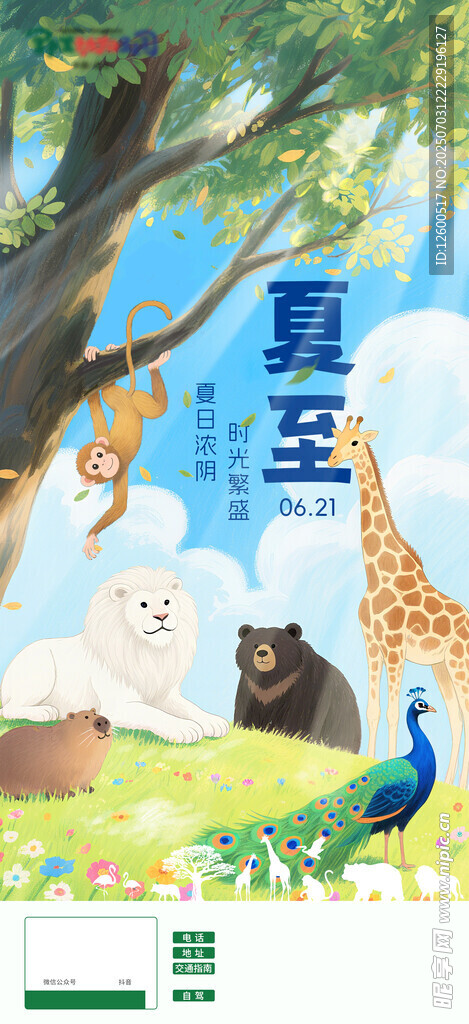 夏至 