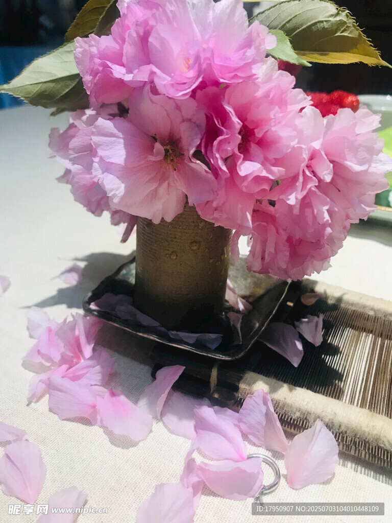 花瓶中的粉色花卉与落瓣