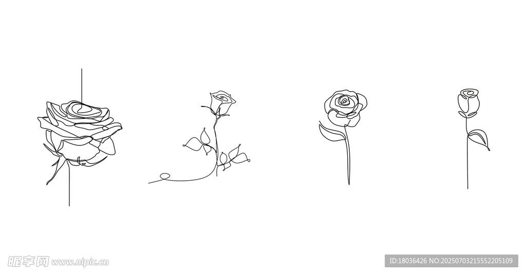 玫瑰花卉连续线条艺术线稿png