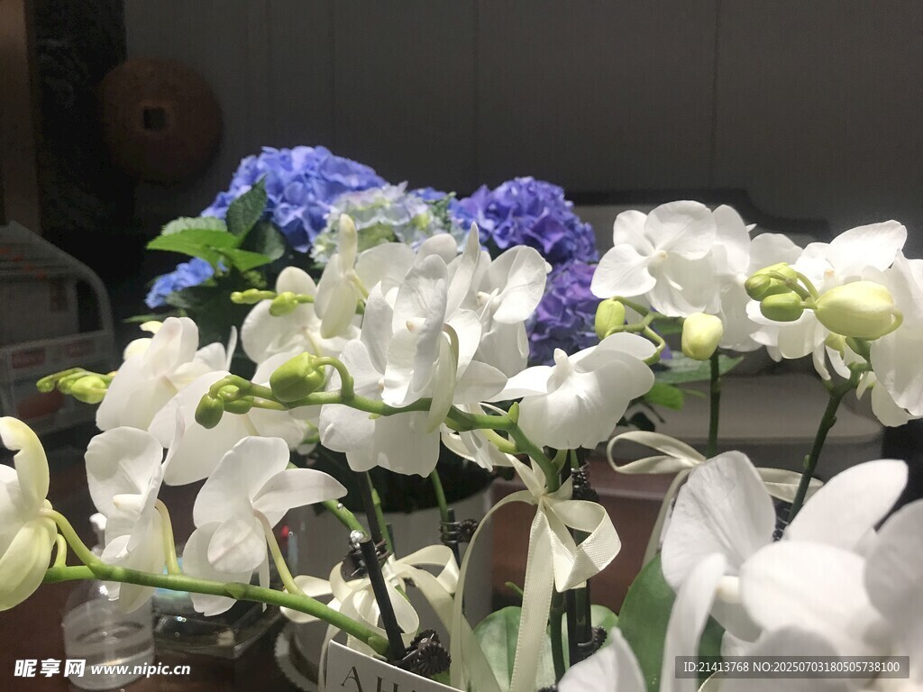 多彩花卉组合