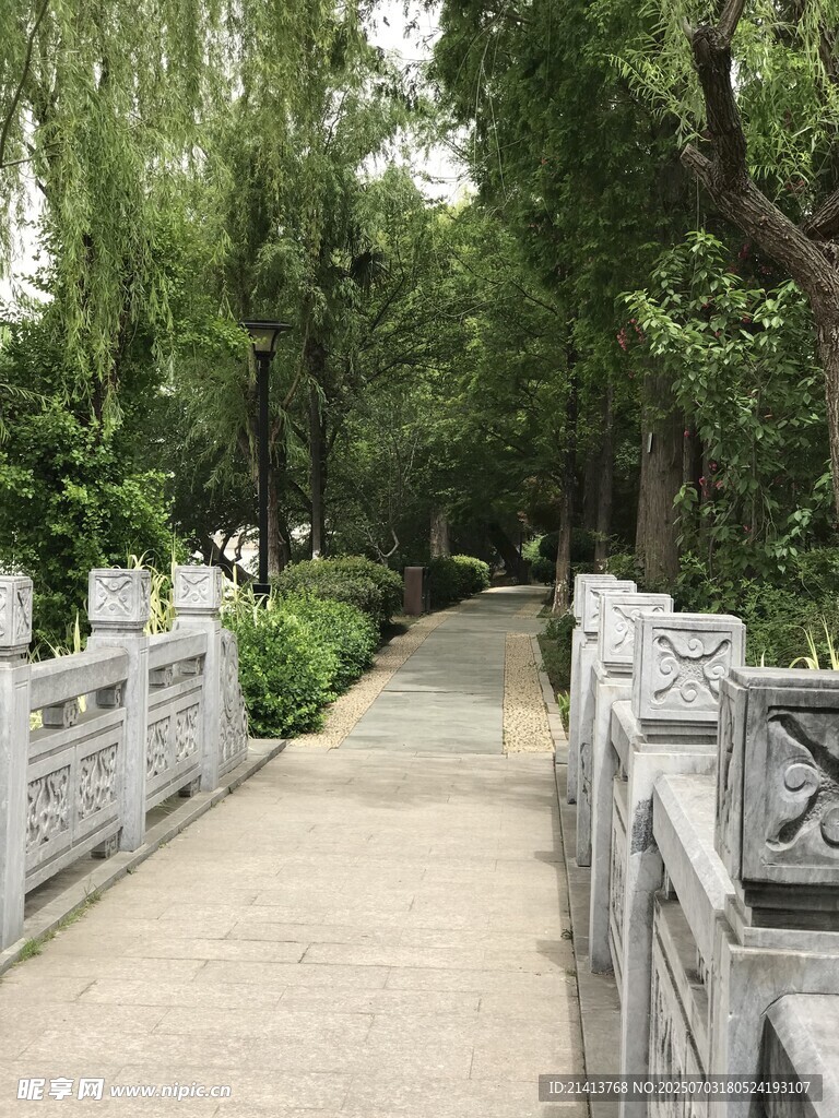 幽静林间小道