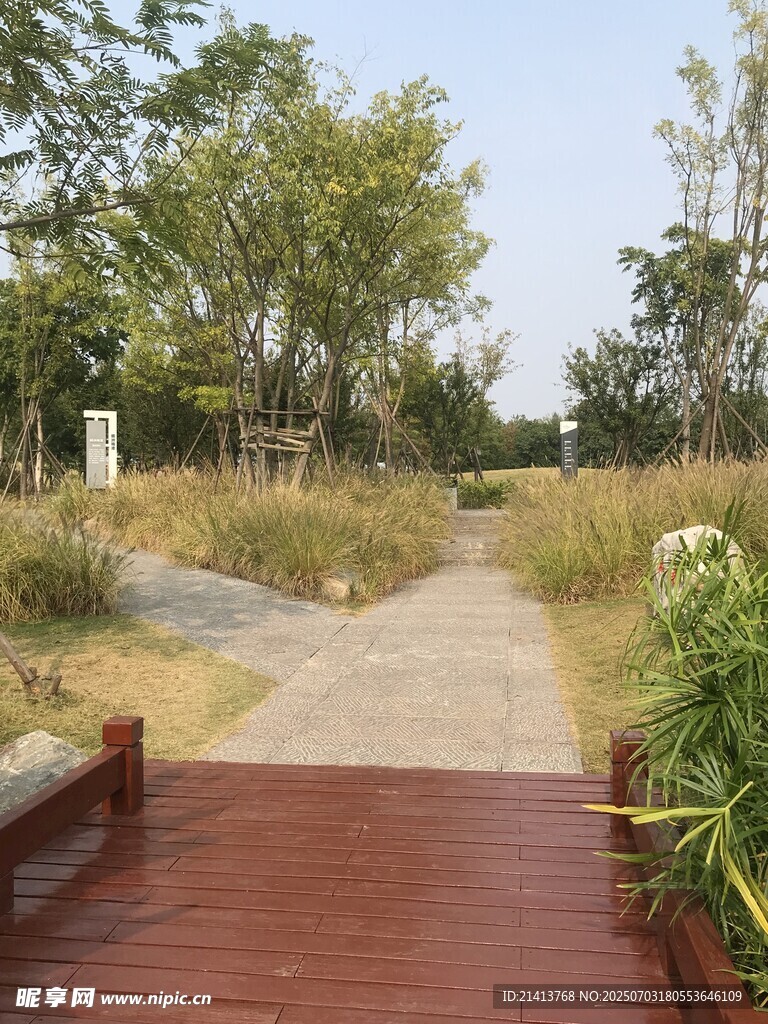 林间木栈道