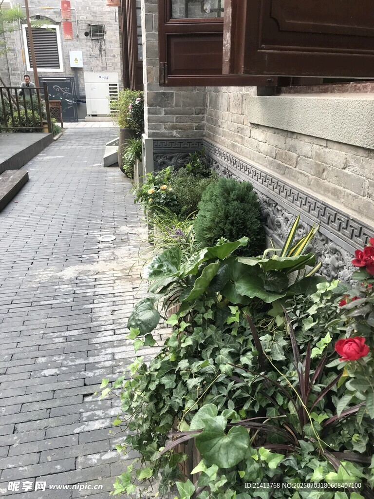 小巷边的绿植与娇艳花朵