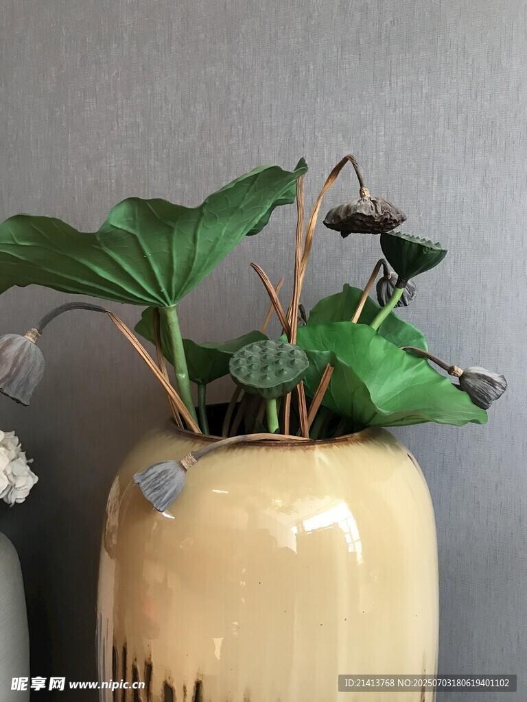 陶瓷花瓶中的绿植景致