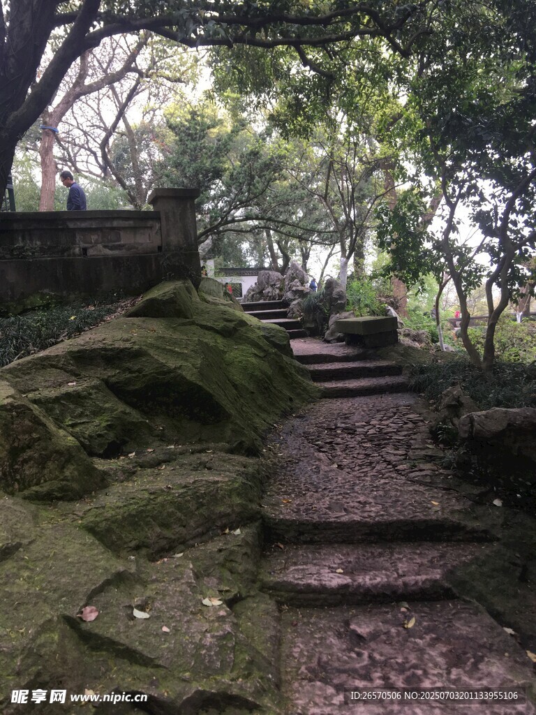 林间石径 