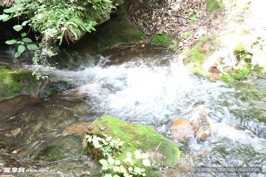 山间潺潺溪流