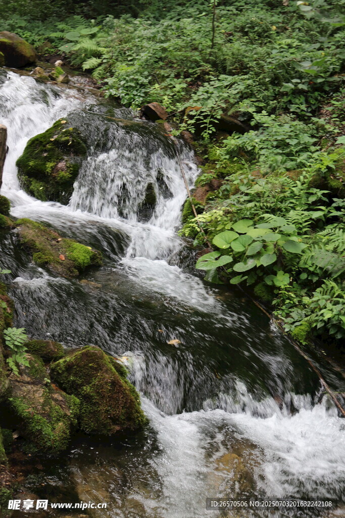 山间溪流潺潺 