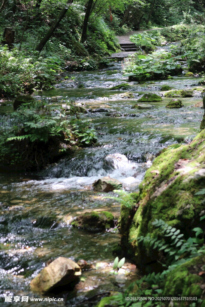 山间溪流 