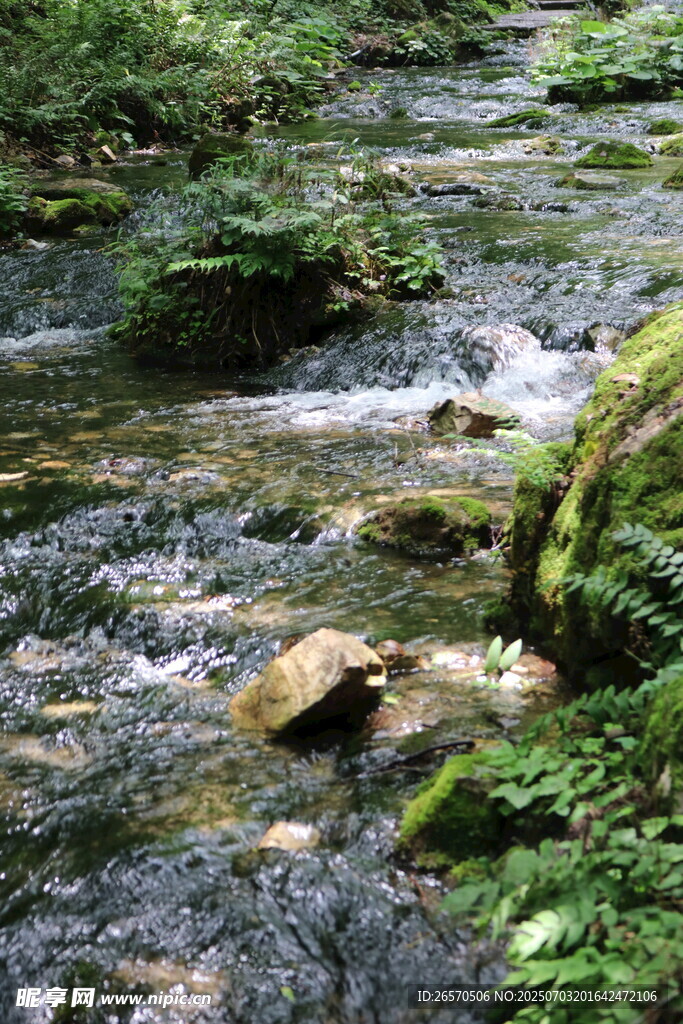 山间溪流 