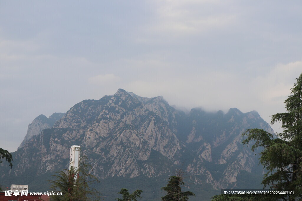 巍峨山峰与葱郁树木景观