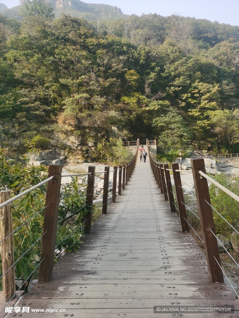 山林 木栈道 