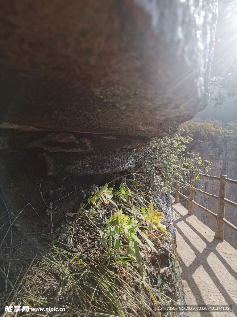 山间栈道旁的自然景致