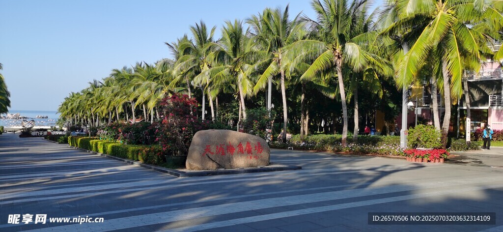 城市街道旁 