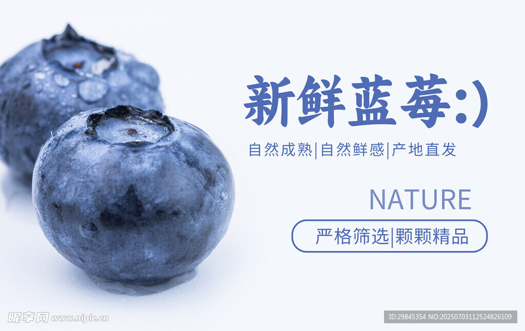 新鲜蓝莓