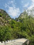风景 绿树 美景 蓝天 白云